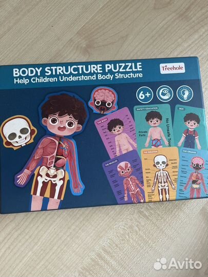 Пазл тело mideer