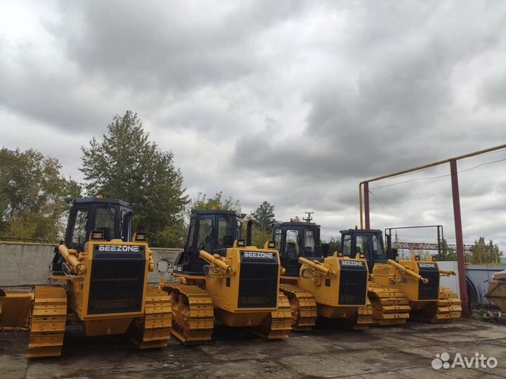 Beezone D16-5, 2023