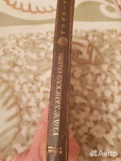 Гражданская война 1919-21, том 1