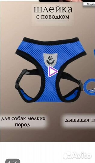 Шлейка для маленькой собаки или кошки размера М