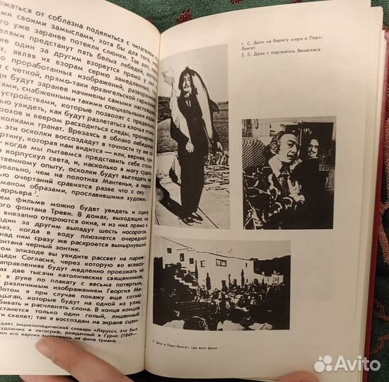 Сальвадор Дали. Дневник одного гения