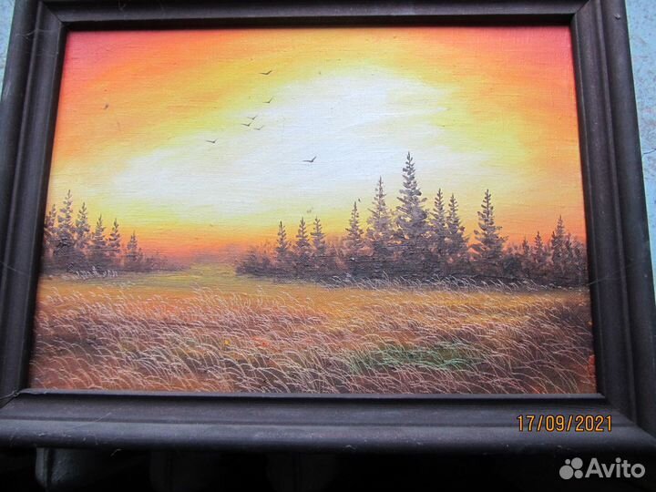 Картины маслом Метелева А.М.Лямина Ю. и других