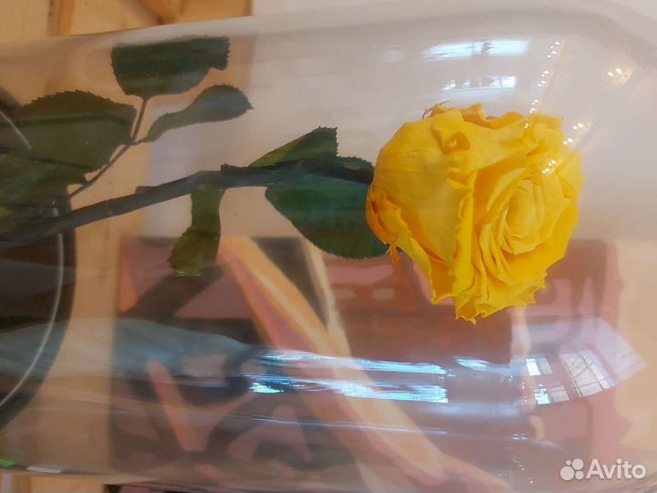 Вечная роза в колбе подарок на 8 марта