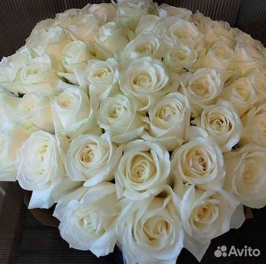 Высокие розы Гигантские розы Доставка цветов