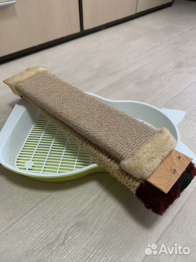 Когтеточка и лоток