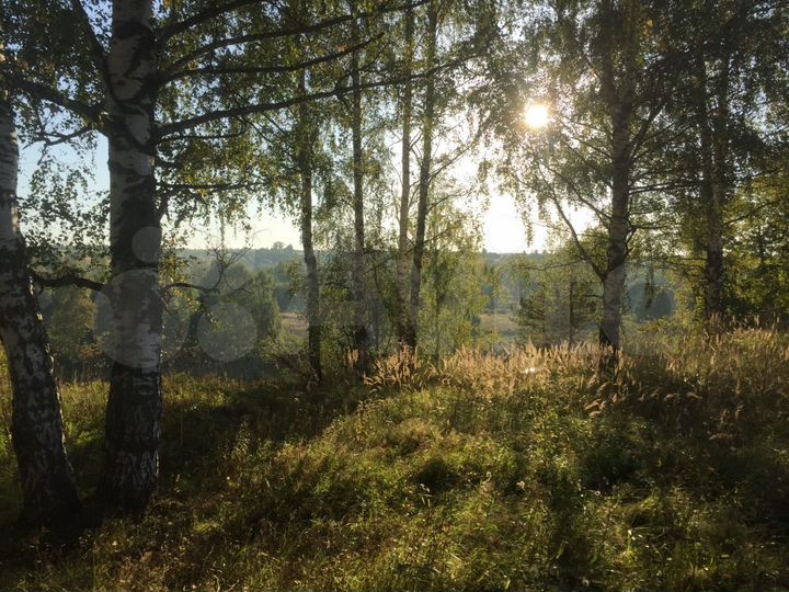 Участок 1,18 га (СНТ, ДНП)