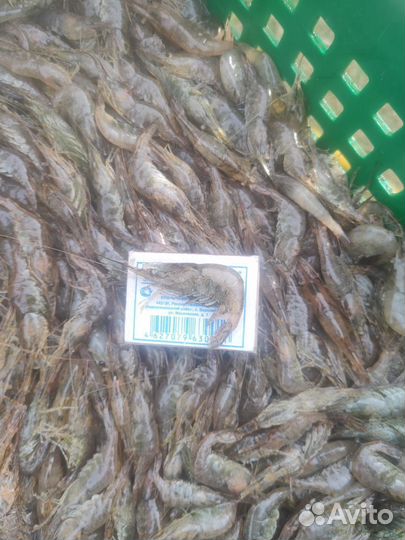 Креветка азовская мороженная