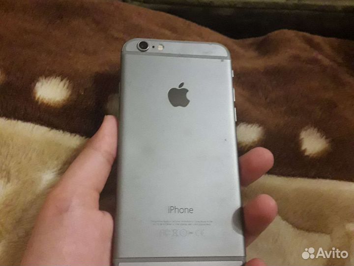 iPhone 6