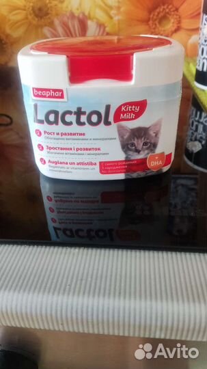 Молоко для котят с соской и бутылочкой