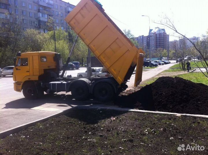 Чернозем