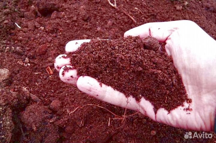 Чернозем, навоз, перегной с доставкой