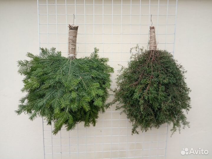Пихтовые можжевеловые веники для бани