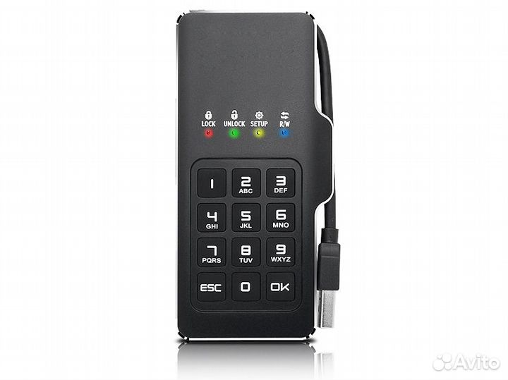 Мини-диск с пин-кодом DataLock PRO М2 256 Гб
