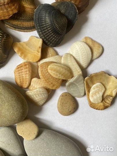 Декоративные камушки и ракушки