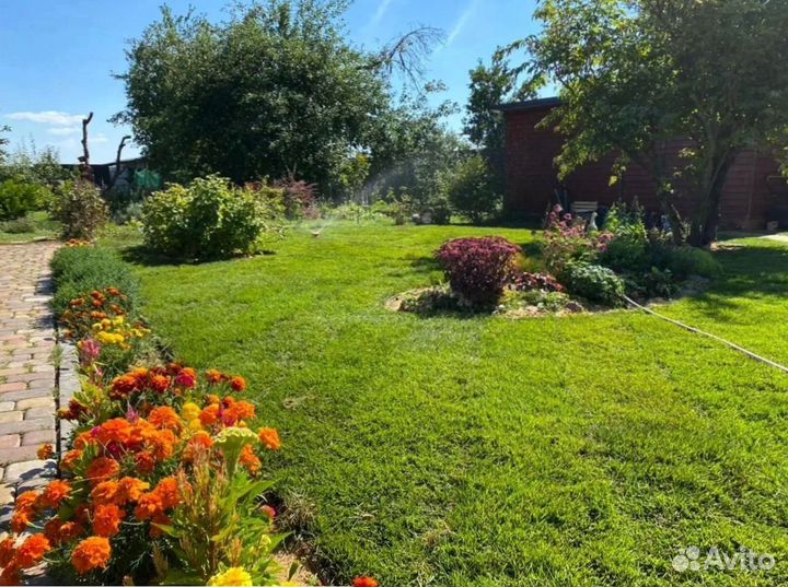 Укладка рулонного газона с автополивом