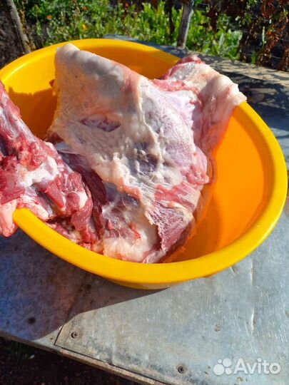 Мясо козлятина