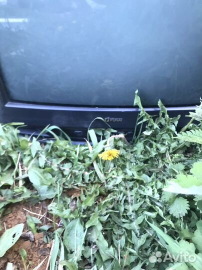 Телевизоры