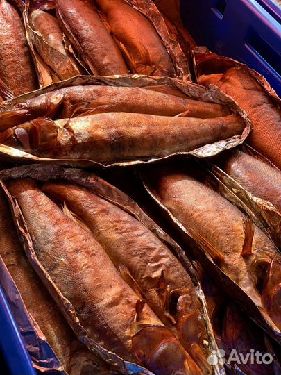 Рыба горячего копчения,свежая,вяленая