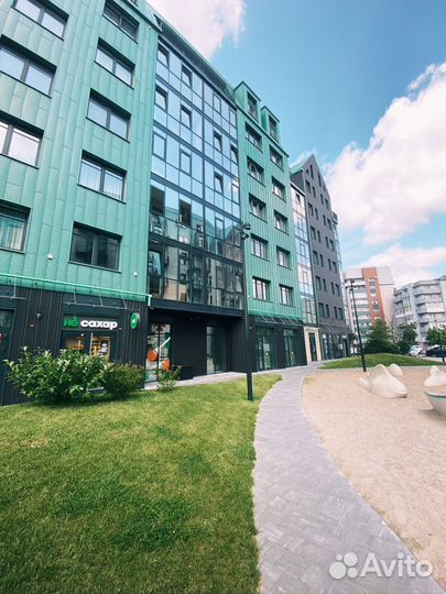 Базилик (пучок)