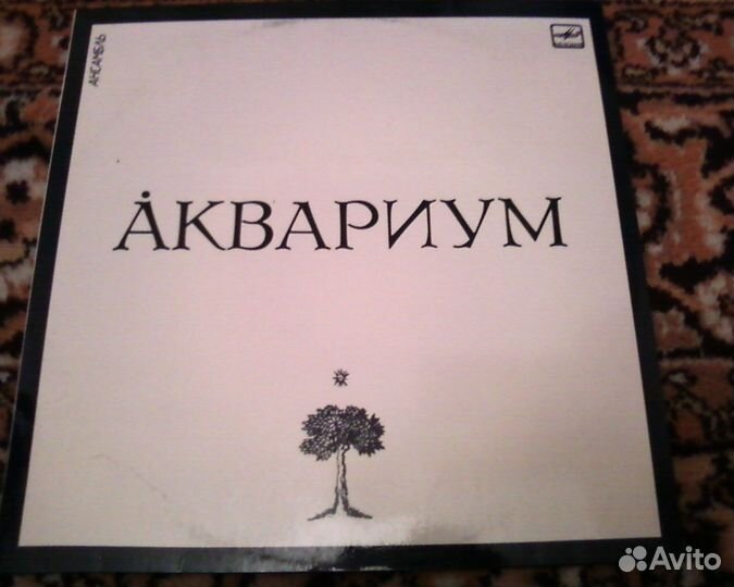 Аквариум, Окно, Анка и другое