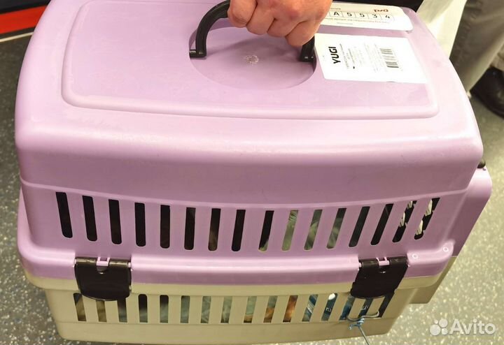 Переноска для кошек бу