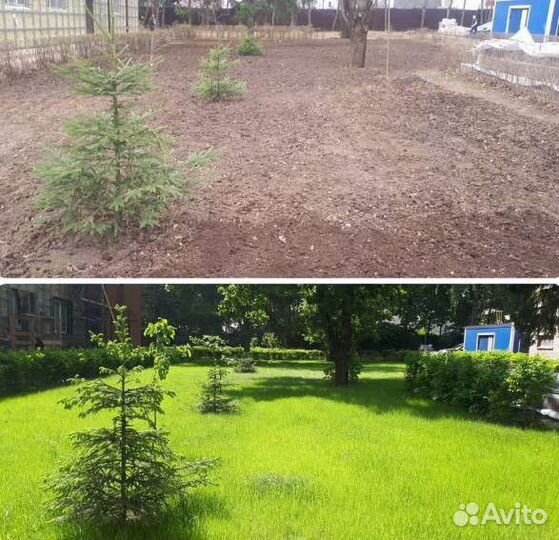 Гидропосев газона