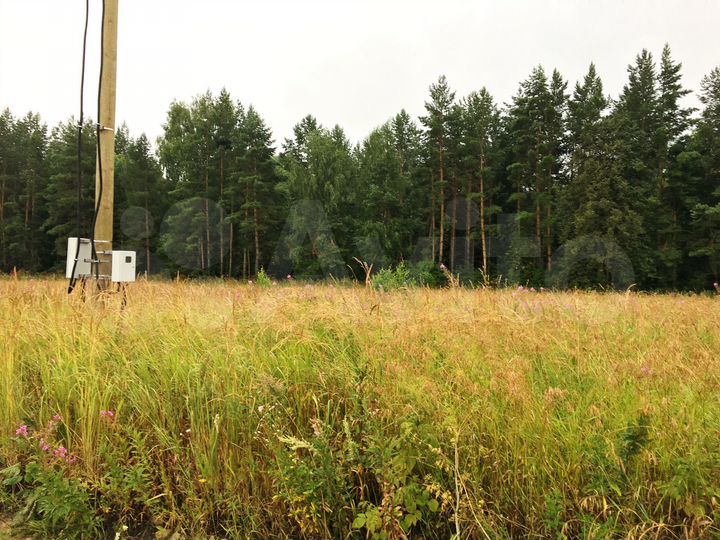 Участок 12,5 сот. (ИЖС)