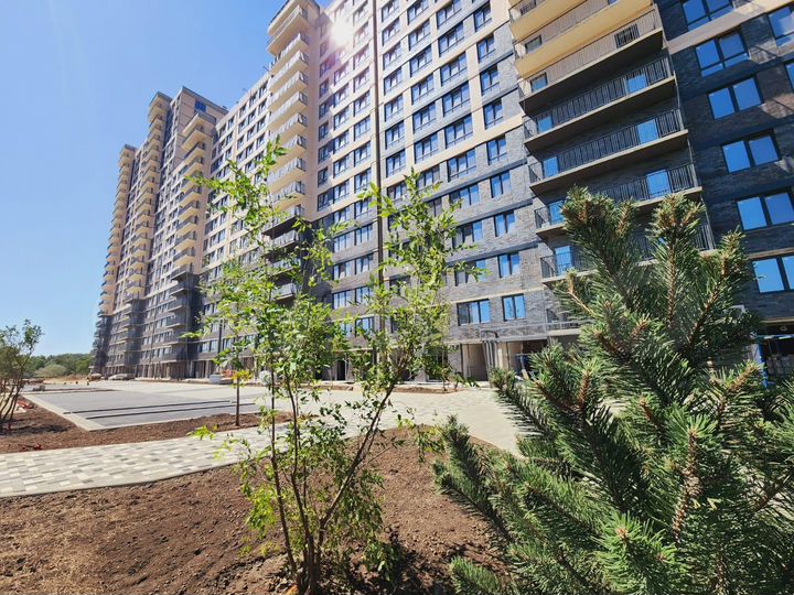 Квартира-студия, 22,8 м², 7/24 эт.