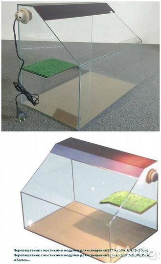 Черепашатники новые