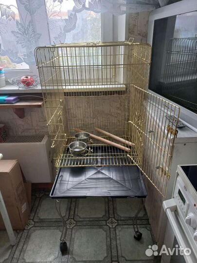 Клетка для среднего попугая