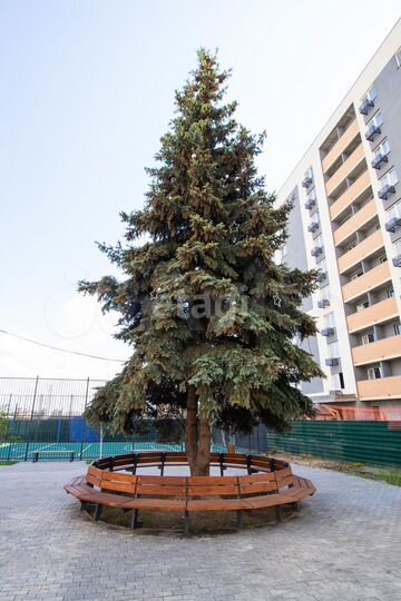 Квартира-студия, 23,6 м², 6/10 эт.