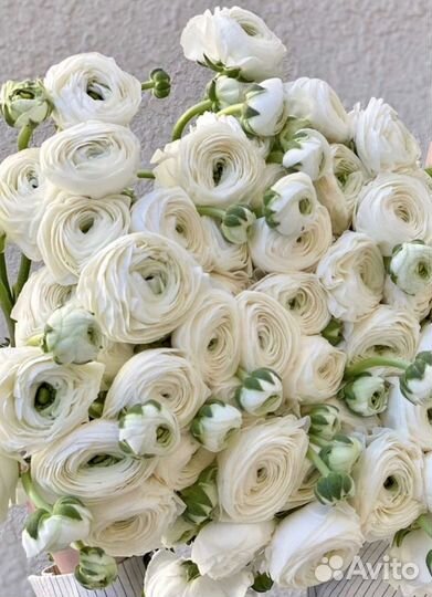 Букет из ранункулюса