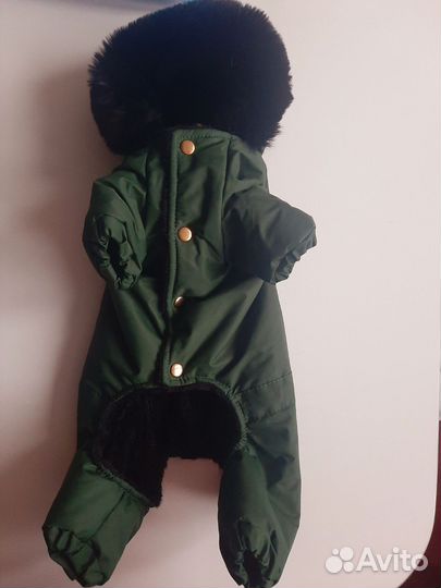 Одежда для маленьких собак