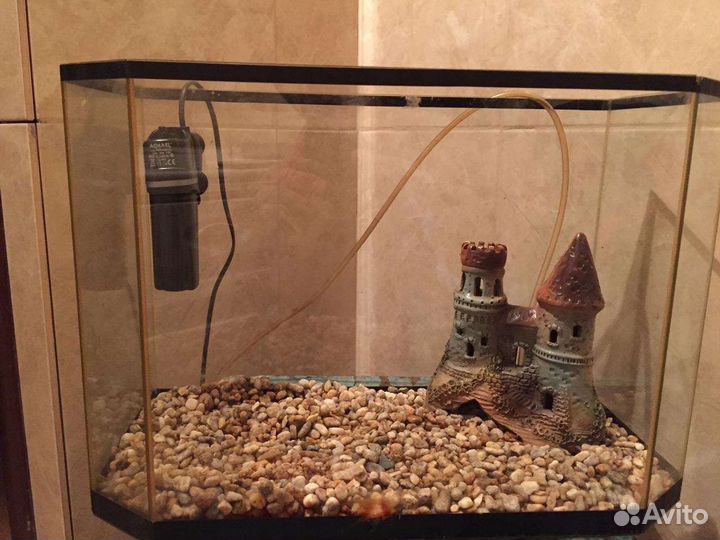 Аквариум