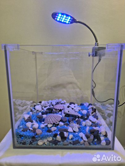 Аквариум