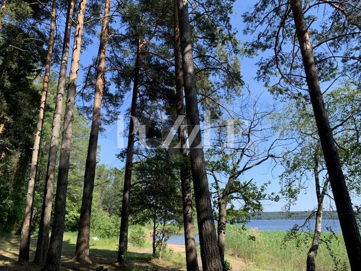 Участок 75,8 сот. (СНТ, ДНП)