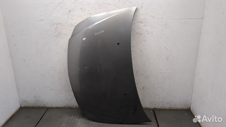 Капот Fiat Sedici, 2009