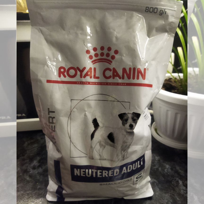 Корм для собак royal canin 800 гр