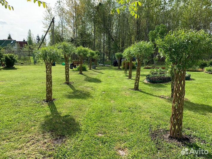 Плетенные деревья из ивы