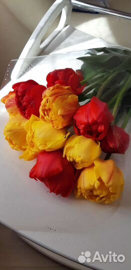 Букет, тюльпаны,цветы