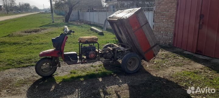 Моторолер муравей