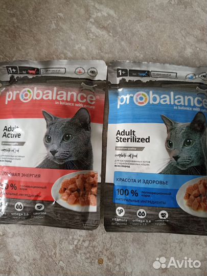 Корм для кошек