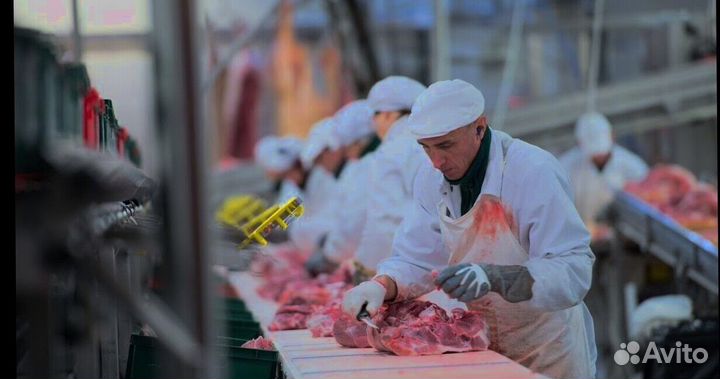 Разнорабочий на мясокомбинат(вахта)