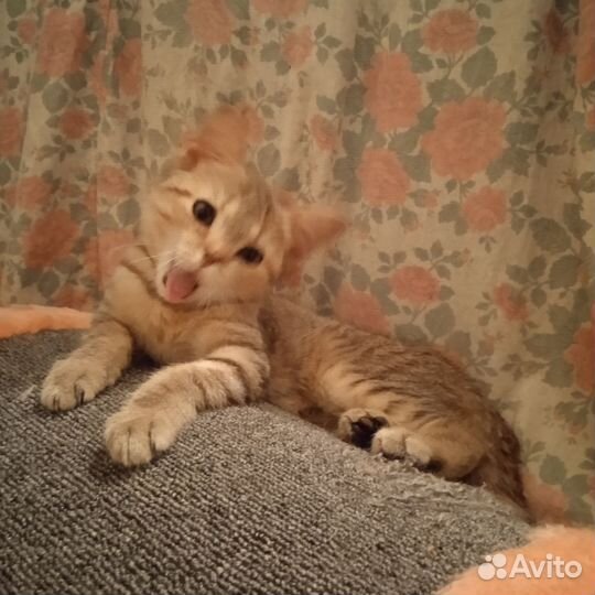 Особенная девочка