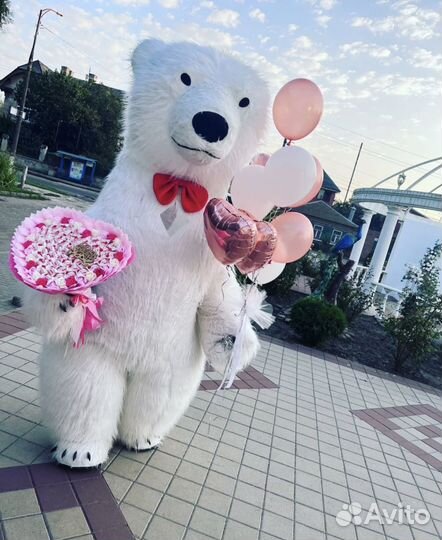 Поздравление от мишки/зайки