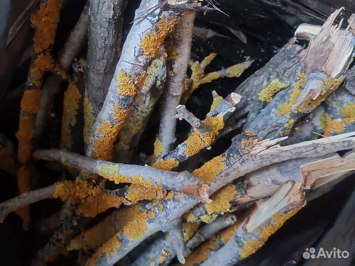 Товары для улиток