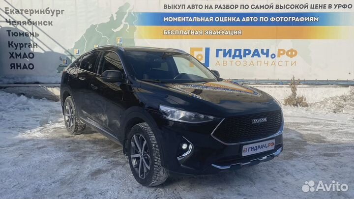 Локер задний правый Haval F7x 2