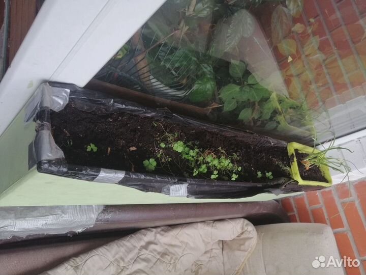 Ящик балконный для посадок