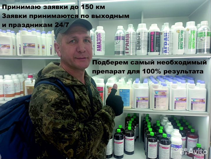 Уничтожение тараканов клопов блох короеда мышей ос