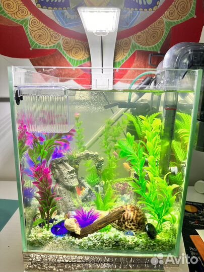 Аквариум-куб 30 литров